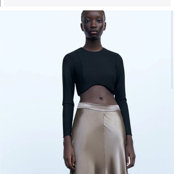 Zara Long Sleeve Backless Top - Picture 3 of 3